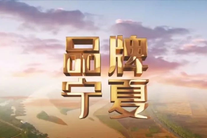 来自宁夏卫视《品牌宁夏》栏目对EBET易博的报道